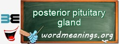 WordMeaning blackboard for posterior pituitary gland